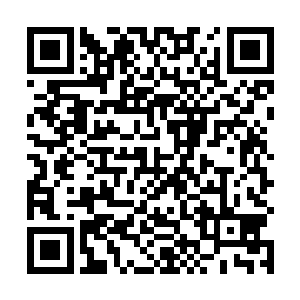 见夏云杰明明是不敢等客服经理过来赶人灰溜溜的走人二维码生成