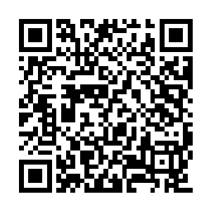 见胖妞掏出来的东西竟然大嘶一声想朝胖妞冲去二维码生成