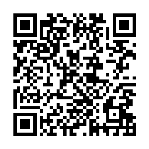 见邵玄还盯着莽部落和未八部落的图腾战士身上的衣着看二维码生成
