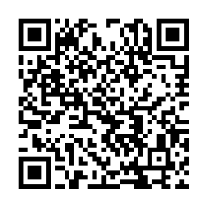 见黑炭还有些神情讪讪地不时回头看向半山腰的龙二维码生成