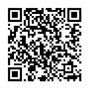 观察了一会儿然后把烫熟的肉和菜捞出来在碗里滚一下二维码生成