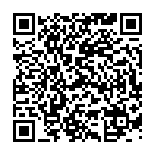 观测了目标数次的他明白战斗如果出现在他们这一片区域会发生怎样的危险二维码生成