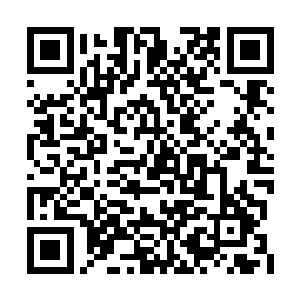 觉得自己还是让患者本人决定是否要冒这个险吧二维码生成