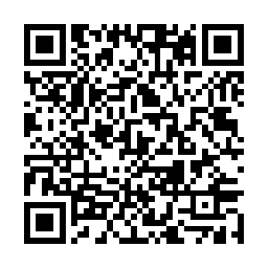 言左左把言妈妈给他们带来的吃的用的收拾进厨房二维码生成
