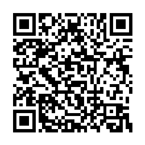 譬如那袁本初已然借助袁家的势力和自己的名望二维码生成