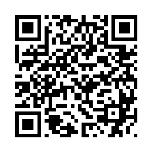认为他们是曾经辉煌过的王家一脉二维码生成