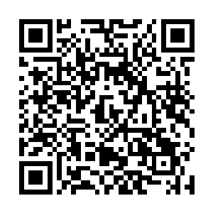 认定许紫烟是依靠符箓在抵挡自己炼气期第五层的修为二维码生成