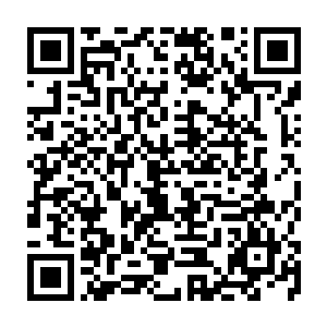 让一个本科学历的武术套路专业的新晋毕业生来教我们文学院500多人的大公开课二维码生成