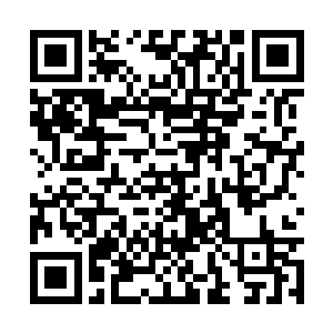 让两兽的魔兽技能轻而易举的就破除了两圣的招数二维码生成