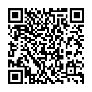 让从落日镇追赶许紫烟而来的大罗天修士霍然在空中停下了脚步二维码生成