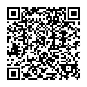 让他们俩以招商引资的金钱数额作为衡量胜负的标准……十亿米金的投资额二维码生成