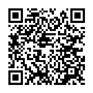 让他们派出几个大德鲁伊帮忙本来是很正常的事情二维码生成