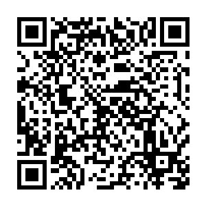 让他把从北京带回来的俱乐部会员管理系统的演示版本给他拿过来二维码生成