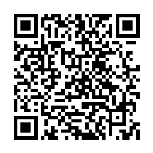 让他那本就惊惧的内心瞬间到了崩溃的边沿……二维码生成