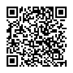 让全球数以亿万计的游客为此多付出十几美元的门票费用二维码生成