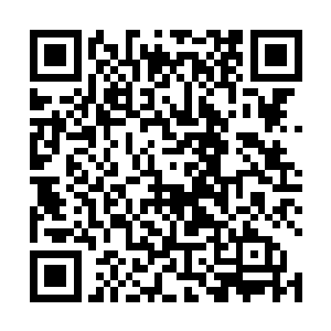 让六弟孙青搜罗了一些稀奇古怪的东西将楚青等人引开二维码生成