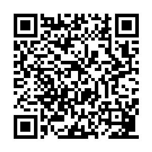 让原本暗暗猜测着飞舟目的地的骑士们都茫然了二维码生成