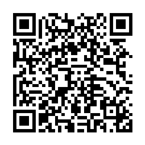 让只原本还估计而放缓一些动作的流墨墨和琴瑟色二维码生成