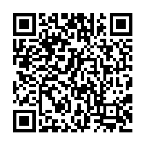 让台下咬牙切齿等着看她给邓铮难堪的杜赟几欲抓狂二维码生成