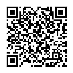 让奔跑到平原上的白骨巨兽群突然像是被掐住脖子二维码生成