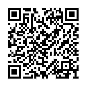让她的良心背负着神界数以千万修士陨落的谴责二维码生成