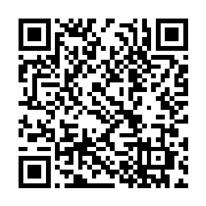 让得三十六洞天福地的不少人的野心又膨胀起来了二维码生成