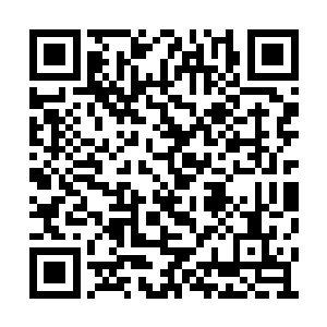 让恰巧每到这个时候茅楚楚都像是提前感应似的二维码生成