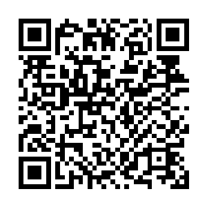 让我们领教领教泰拳的厉害哈差乘坐飞机来燕京参加比赛二维码生成