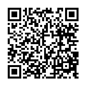 让我印象最深的倒不是那教授和我说这病有多难治二维码生成