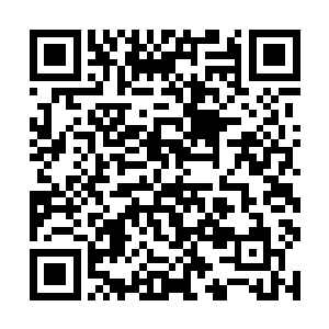 让我这个从不跟帮派打交道的人不顾一切的跑去救你二维码生成
