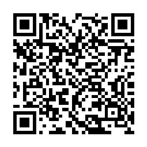 让杜克和华纳兄弟看到了影片首周票房过亿的希望二维码生成