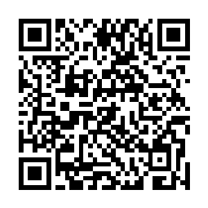 让桐花镇派出所把他们建设学习型派出所的作法整理整理二维码生成