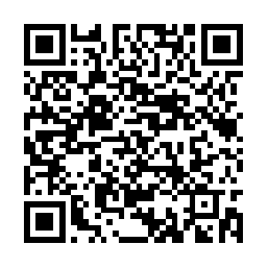 让盘古幡能够发挥出来的力量得到了进一步的提升二维码生成