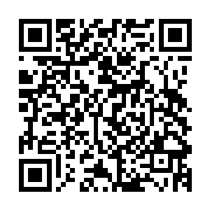 让祝天养犹豫的原因是他不知道边学道这本日记本最初的位置二维码生成