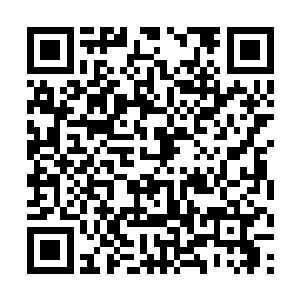 让自己整个人浸泡在那种充满生机和活力的能量之中二维码生成