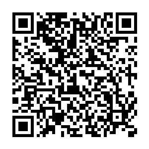让苏澈这个平日里惯于高高在上的清冷人物带上了几分人间的气息二维码生成