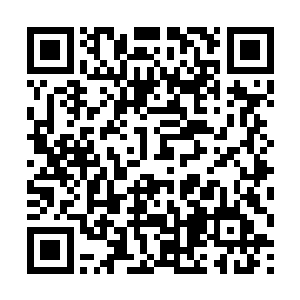 让要塞独立师和新组建的第二十一机械化师见一见血二维码生成