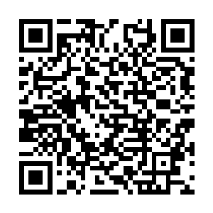 让这些青年的官兵一下子的就掉落到陷阱当中去了二维码生成