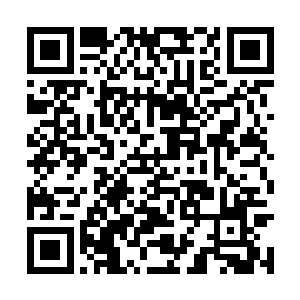 让那两位八方风雨安心……此人必然极其强大可怕二维码生成