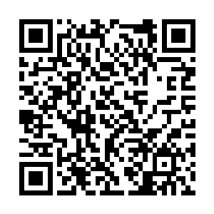 让集装箱里面等待的几人眼珠子全都挂在了她身上二维码生成