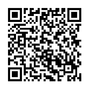 许多胆子小一些的普通群众都会被如此阵仗吓得腿软二维码生成