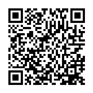 许德拉这时候顿时来到了龙傲天的身边对着对面的山姆说道二维码生成