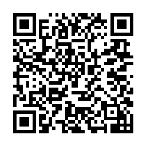 许振山和许琴扬等一些许家弟子也飞升到了上元大陆二维码生成