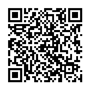 许琴扬作为太虚宗当代掌门代表的是对仙主宫名誉上的尊重二维码生成