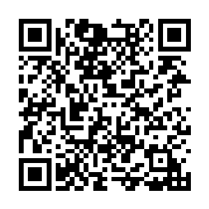 许紫一直在体内用乾坤诀模仿出五属性灵根的表象二维码生成