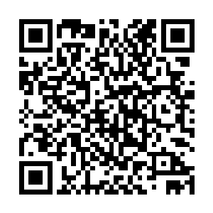 许紫烟严令形成冒险团的修士不允许距离地面少于五米二维码生成