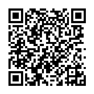 许紫烟从阵一那里得到了需要布设大阵的材料玉简二维码生成