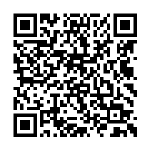许紫烟体内的悲愤之火终于引动了体内的火之意二维码生成