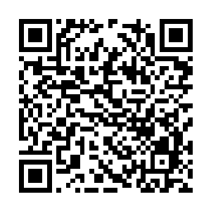 许紫烟的身形便如同一颗流星一般地向着下方坠落二维码生成