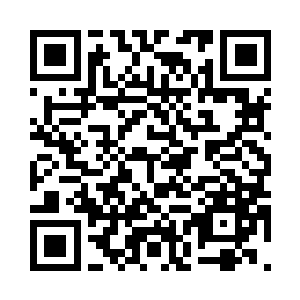 许紫烟的身形在夜色中拉出一条残影二维码生成